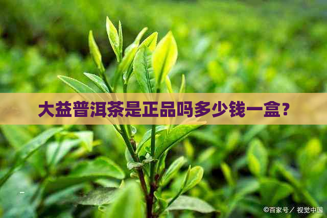 大益普洱茶是正品吗多少钱一盒？