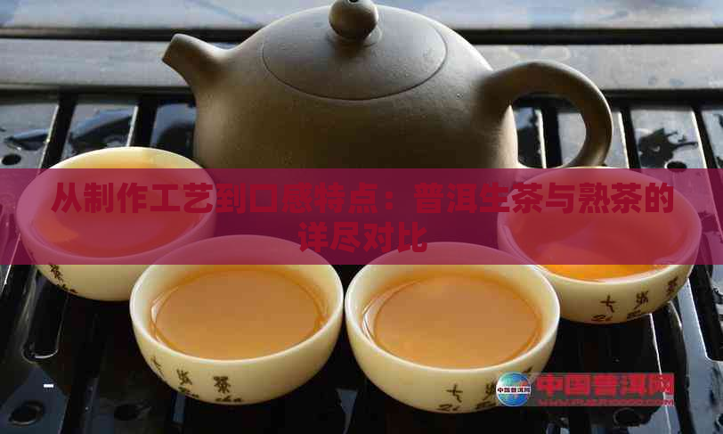 从制作工艺到口感特点：普洱生茶与熟茶的详尽对比