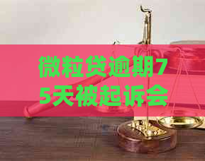 微立贷逾期75天被起诉会有什么后果