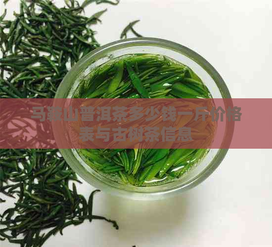 马鞍山普洱茶多少钱一斤价格表与古树茶信息