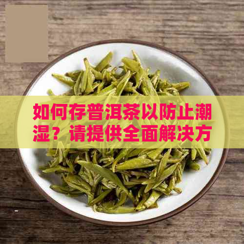 如何存普洱茶以防止潮湿？请提供全面解决方案