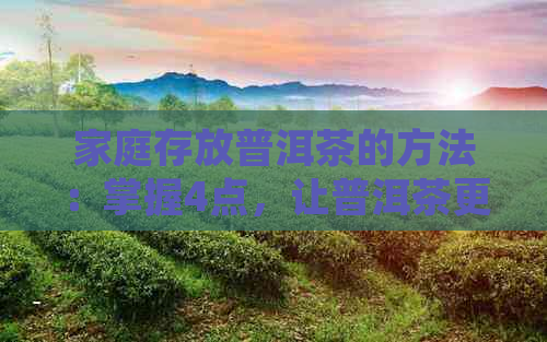 家庭存放普洱茶的方法：掌握4点，让普洱茶更香醇！