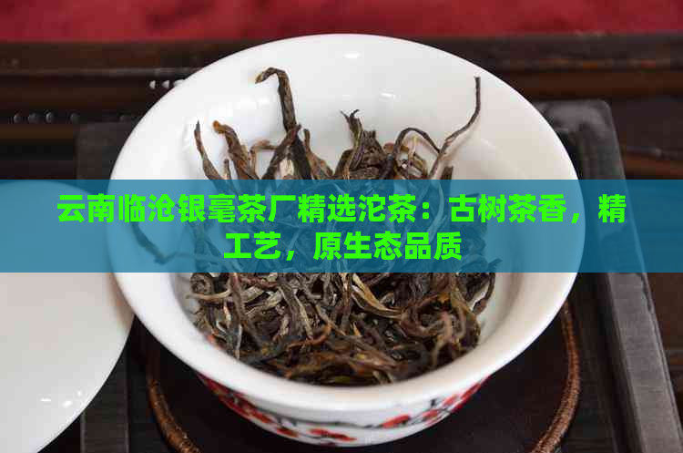 云南临沧银毫茶厂精选沱茶：古树茶香，精工艺，原生态品质