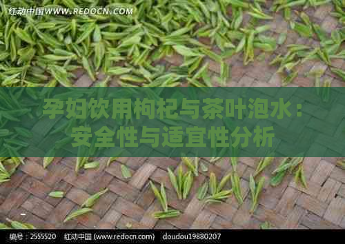 孕妇饮用枸杞与茶叶泡水：安全性与适宜性分析