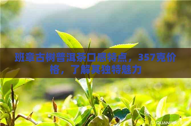 班章古树普洱茶口感特点，357克价格，了解其独特魅力