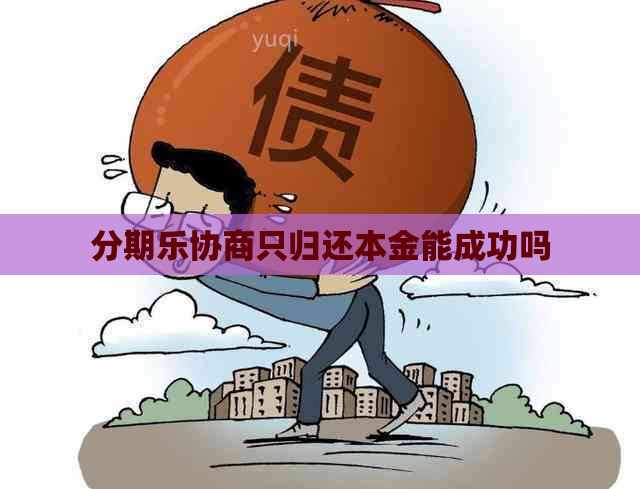 协商只归还本金能成功吗