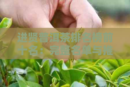 进贤普洱茶排名榜前十名：完整名单与推荐