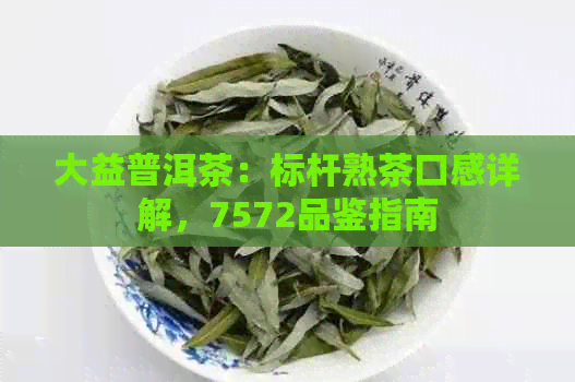 大益普洱茶：标杆熟茶口感详解，7572品鉴指南