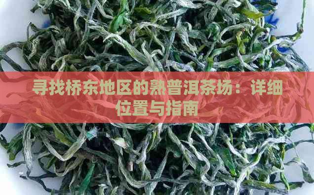 寻找桥东地区的熟普洱茶场：详细位置与指南