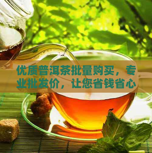 优质普洱茶批量购买，专业批发价，让您省钱省心