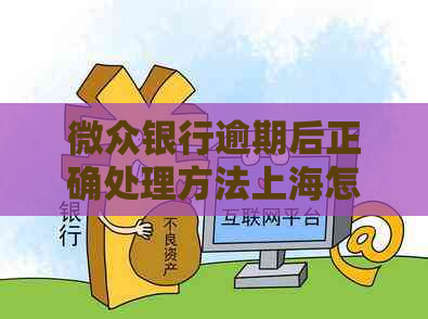 微众银行逾期后正确处理方法上海怎么办理