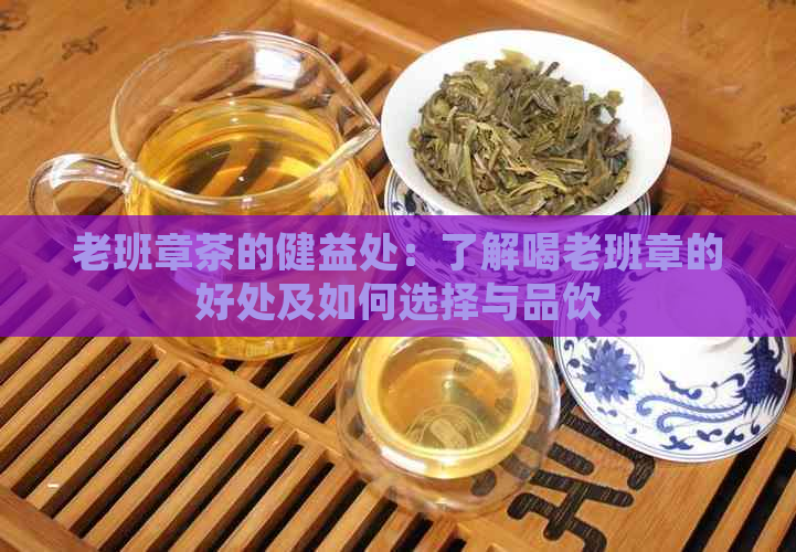 老班章茶的健益处：了解喝老班章的好处及如何选择与品饮