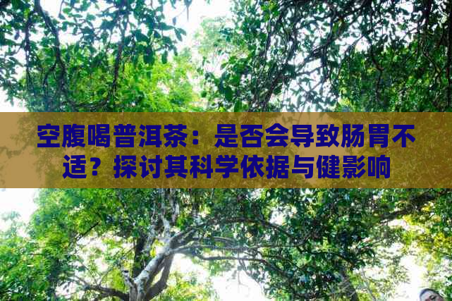 空腹喝普洱茶：是否会导致肠胃不适？探讨其科学依据与健影响