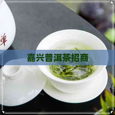 嘉兴普洱茶招商