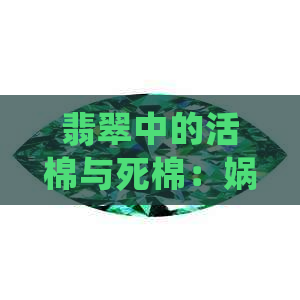 翡翠中的活棉与死棉：娲绘工艺下的精细鉴别