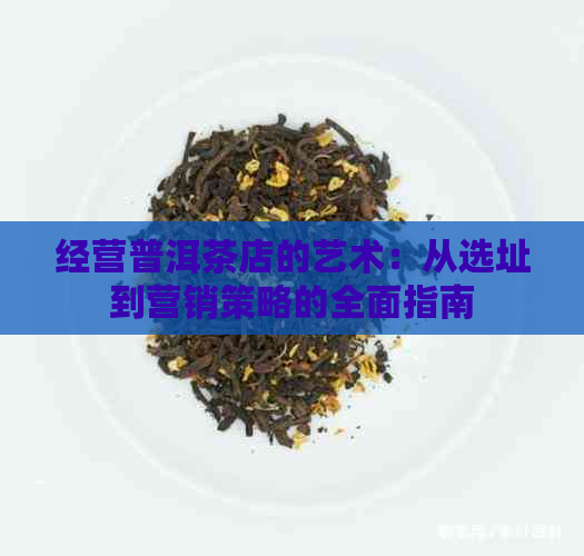 经营普洱茶店的艺术：从选址到营销策略的全面指南