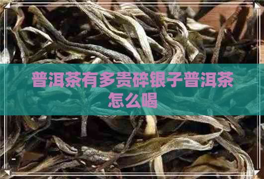 普洱茶有多贵碎银子普洱茶怎么喝