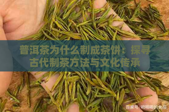 普洱茶为什么制成茶饼：探寻古代制茶方法与文化传承