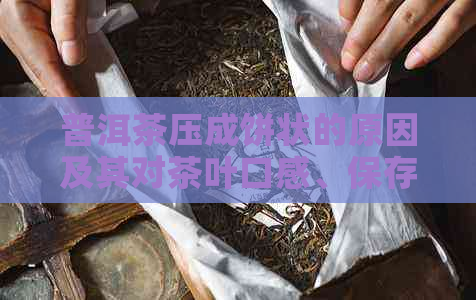 普洱茶压成饼状的原因及其对茶叶口感、保存和冲泡的影响