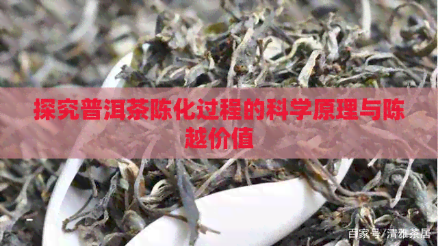 探究普洱茶陈化过程的科学原理与陈越价值