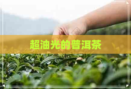 超油光的普洱茶