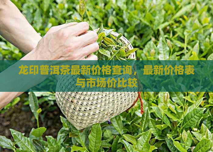 龙印普洱茶最新价格查询，最新价格表与市场价比较