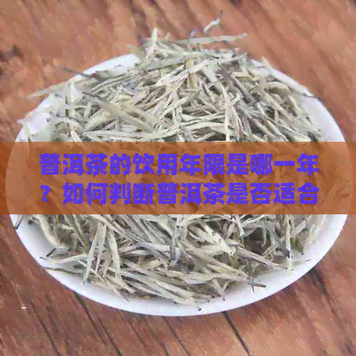 普洱茶的饮用年限是哪一年？如何判断普洱茶是否适合饮用？