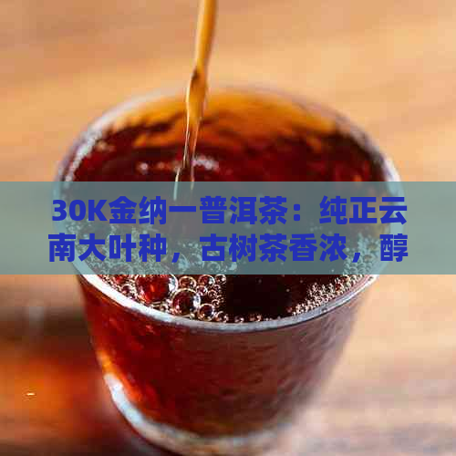 30K金纳一普洱茶：纯正云南大叶种，古树茶香浓，醇厚回的口感体验