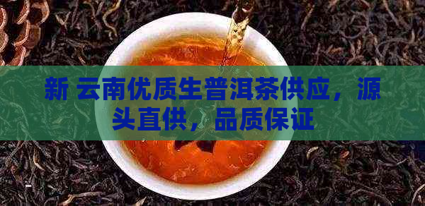 新 云南优质生普洱茶供应，源头直供，品质保证