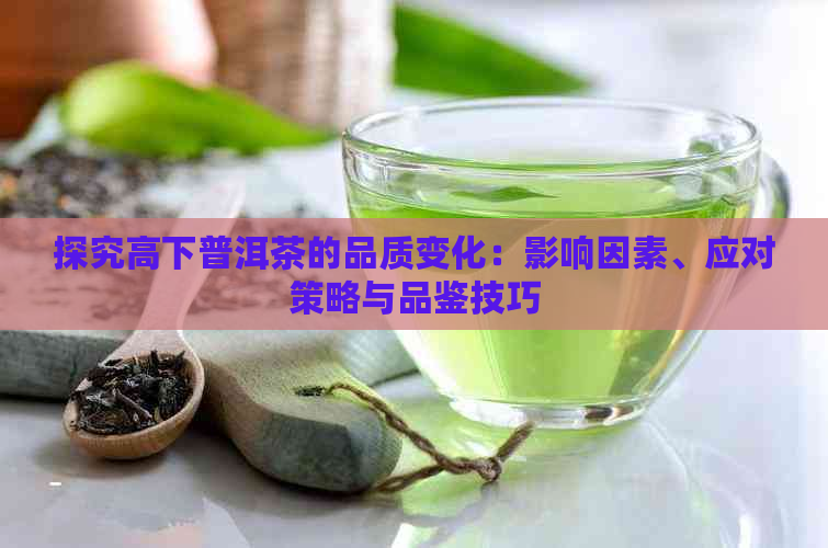 探究高下普洱茶的品质变化：影响因素、应对策略与品鉴技巧