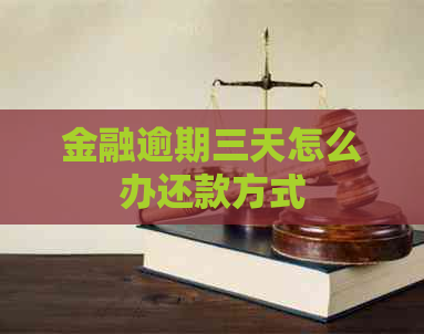 金融逾期三天怎么办还款方式