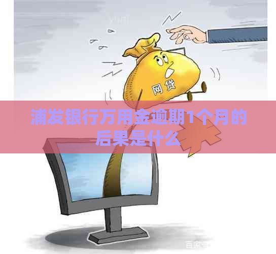 浦发银行万用金逾期1个月的后果是什么