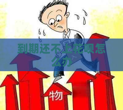 到期还不上花呗怎么办