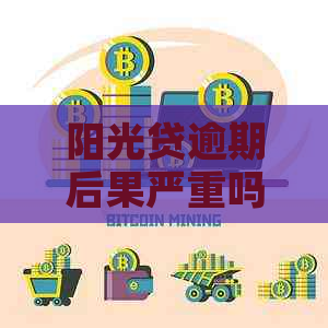 阳光贷逾期后果严重吗