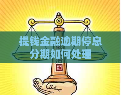 提钱金融逾期停息分期如何处理