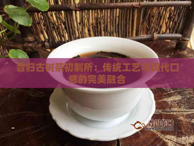 昔归古树茶初制所：传统工艺与现代口感的完美融合