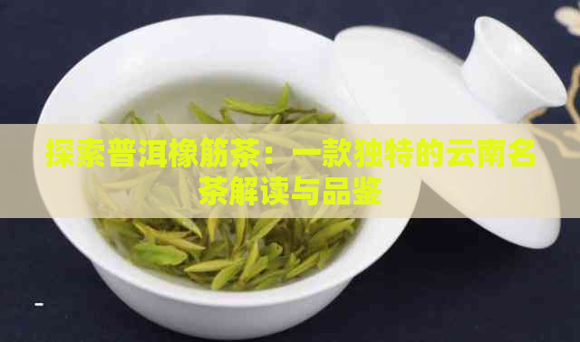 探索普洱橡筋茶：一款独特的云南名茶解读与品鉴