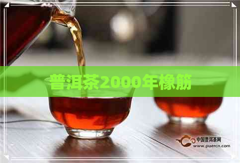 普洱茶2000年橡筋