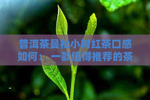 普洱茶曼松小树红茶口感如何： 一款值得推荐的茶叶