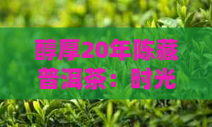 醇厚20年陈藏普洱茶：时光见证下的经典之选