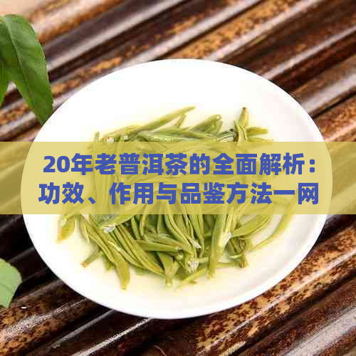 20年老普洱茶的全面解析：功效、作用与品鉴方法一网打尽！