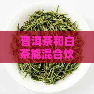 普洱茶和白茶能混合饮用吗？为什么？