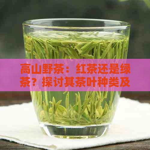 高山野茶：红茶还是绿茶？探讨其茶叶种类及特点