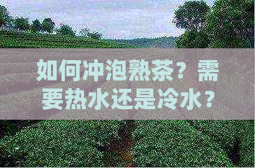 如何冲泡熟茶？需要热水还是冷水？是否可以直接冲泡？