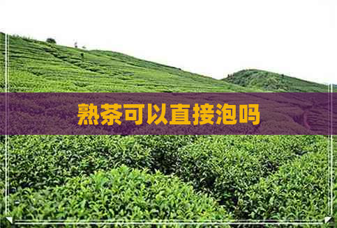 熟茶可以直接泡吗