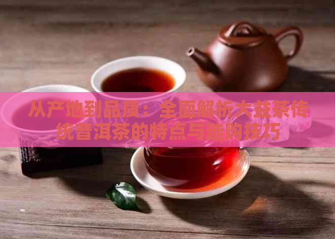 从产地到品质：全面解析大益茶传统普洱茶的特点与选购技巧