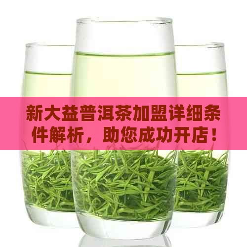 新大益普洱茶加盟详细条件解析，助您成功开店！