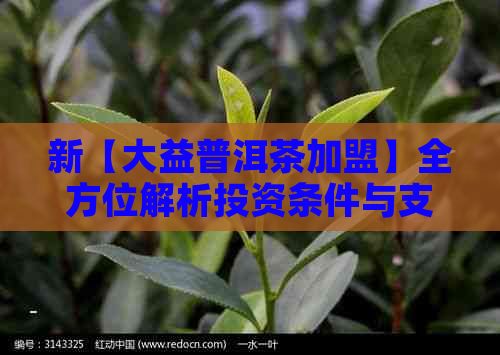 新【大益普洱茶加盟】全方位解析投资条件与支持，助您轻松创业成功！