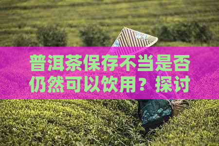 普洱茶保存不当是否仍然可以饮用？探讨普洱茶保存的影响及解决方案