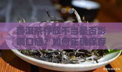 普洱茶存放不当是否影响口感？如何正确保存普洱茶以保持品质？